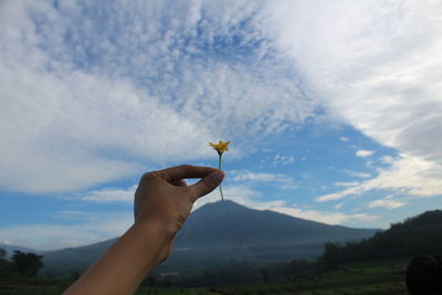 Cropped hand holding flower against sky