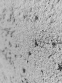 High angle view of a wall