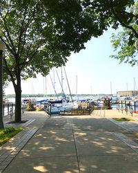 Boats moored at harbor