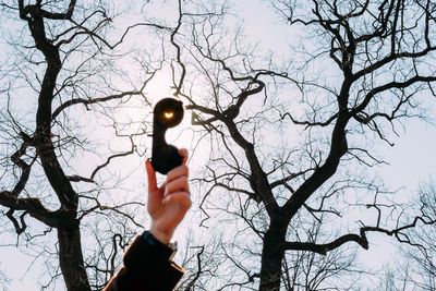 Low angle view of hand holding bare tree against sky