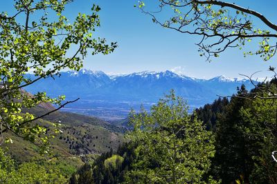 Rocky mountain wasatch front butterfield canyon oquirrh mountains utah, united states.