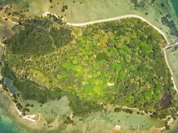 Aerial view of landscape