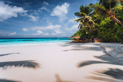 Scenic view of beach against sky