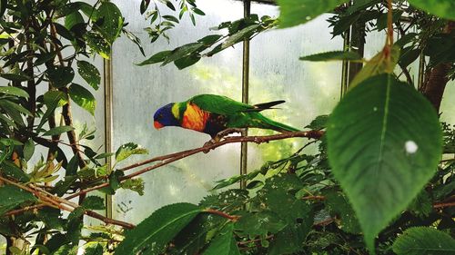 Bird perching on a plant