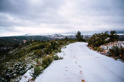 Road amidst trees against sky during winter