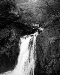 Scenic view of waterfall in forest