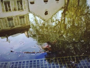 Reflection of building in puddle on lake