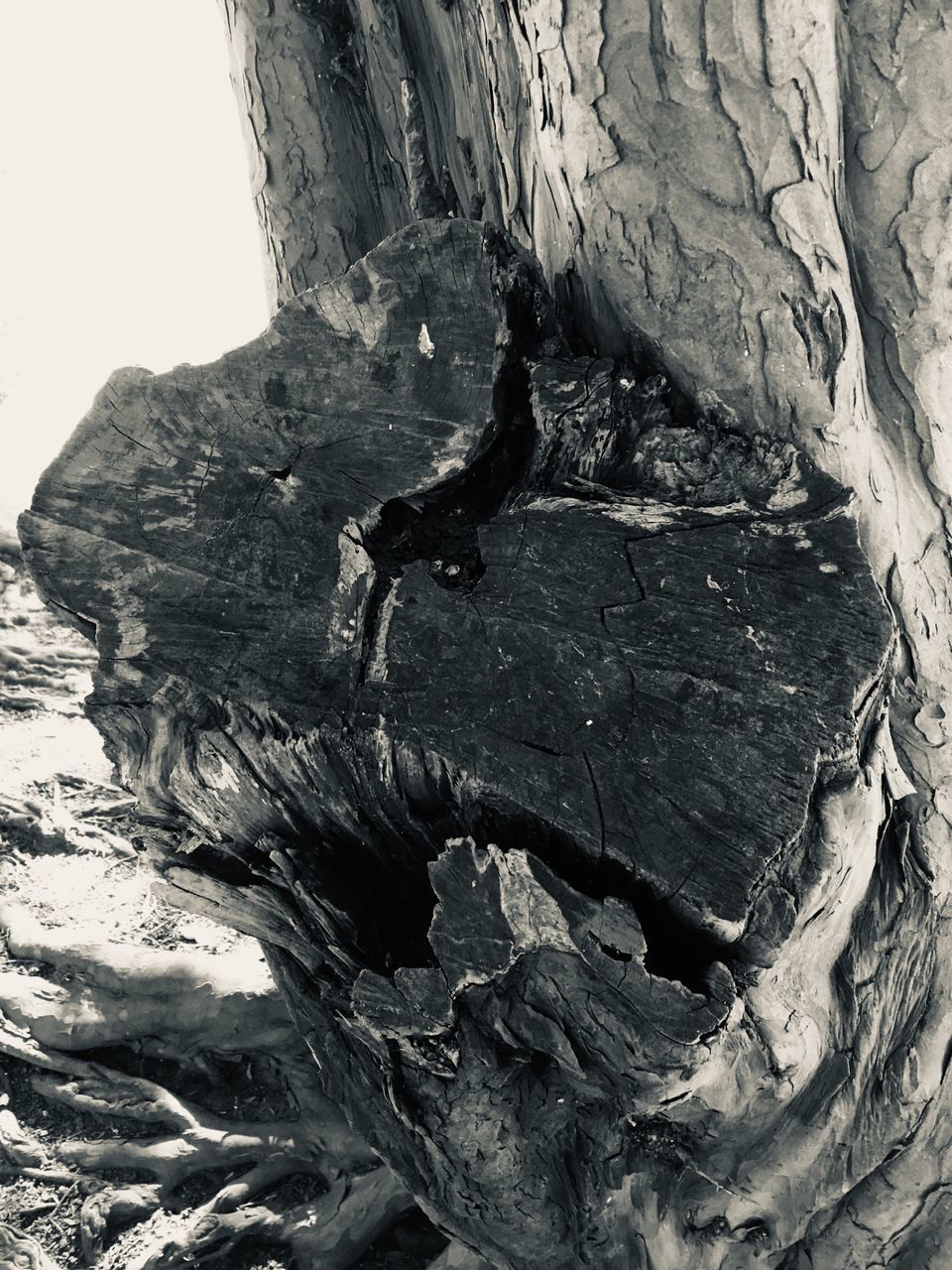 CLOSE-UP OF ROCKS ON ROCK