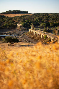 View of arch bridge