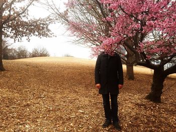 Rear view of a woman walking on tree