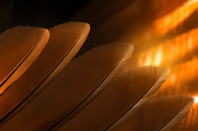 Low angle view of light painting on table