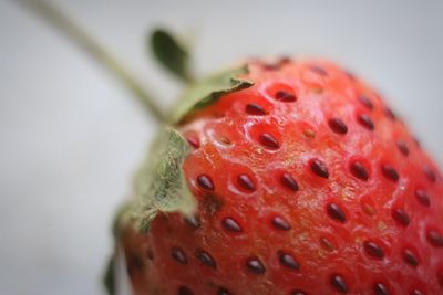 Close-up of strawberry