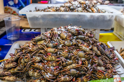 Fresh-caught seafood for sale at a street market