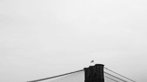 Low angle view of birds perching on wall