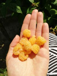 Close-up of hand holding fruits