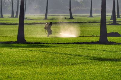 Man spraying pesticide on field