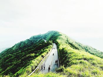 Scenic view of road amidst trees against sky