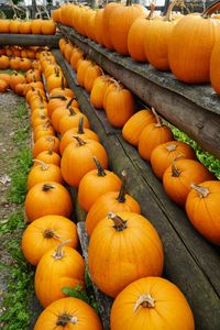 High angle view of pumpkins for sale at market