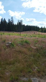 Scenic view of field against sky