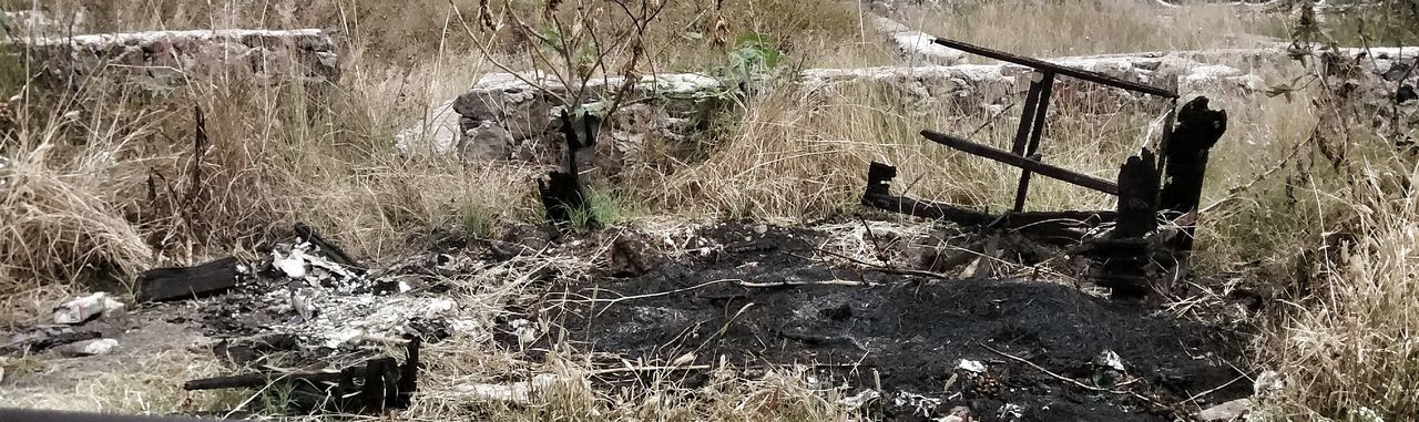 field, tree, abandoned, day, outdoors, damaged, nature, old, grass, plant, built structure, wood - material, no people, tree trunk, growth, obsolete, landscape, architecture, weathered, sunlight