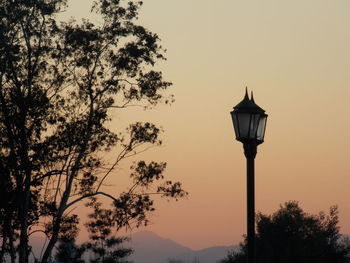 Low angle view of trees against sky at sunset