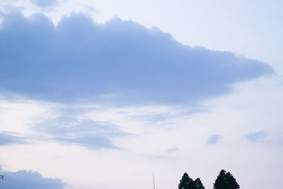 Low angle view of silhouette trees against sky