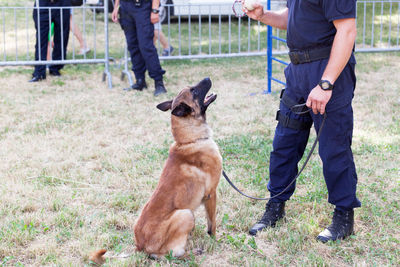 Policeman with police dog