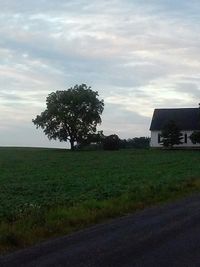 Scenic view of grassy field against cloudy sky