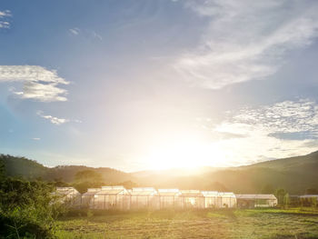 Greenhouse on field against sky during sunny day