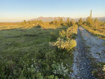 Scenic view of landscape against clear sky