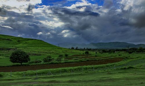 Scenic view of agricultural field against cloudy sky