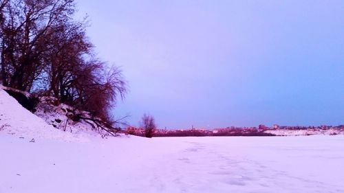 Trees on snow covered landscape against clear sky