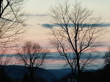 Silhouette bare trees against sky at sunset