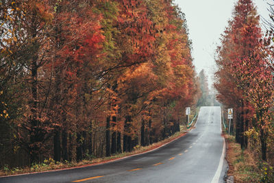 Empty road amidst trees during autumn