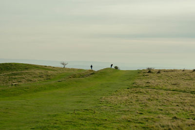 People walking on grassy field by sea against sky