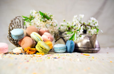 Close-up of multi colored flowers on table