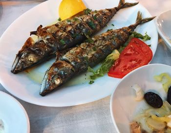 High angle view of seafood served in plate