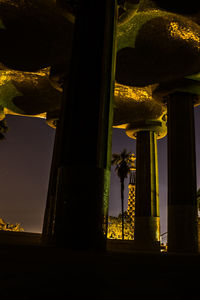 Illuminated trees against sky at night