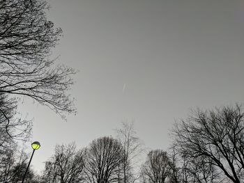 Low angle view of trees against sky