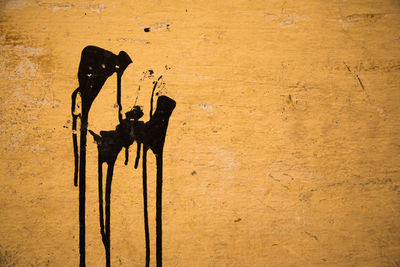 Shadow of a horse on wall