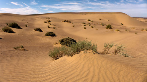 Scenic view of sand dunes in desert against sky