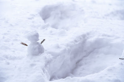 View of birds on snow covered landscape