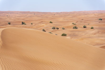 Scenic view of desert against sky