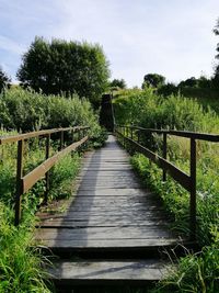 Narrow footbridge along trees and plants