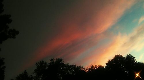 Silhouette of trees at sunset