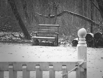 Bench in park during winter