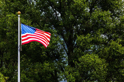 Low angle view of american flag against trees
