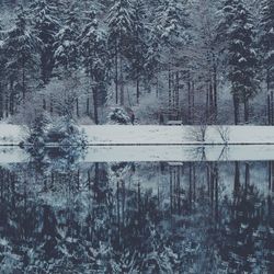 Full frame shot of lake with trees in background