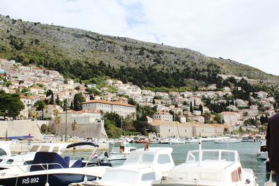 Boats moored by trees against sky