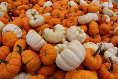 Full frame shot of pumpkins